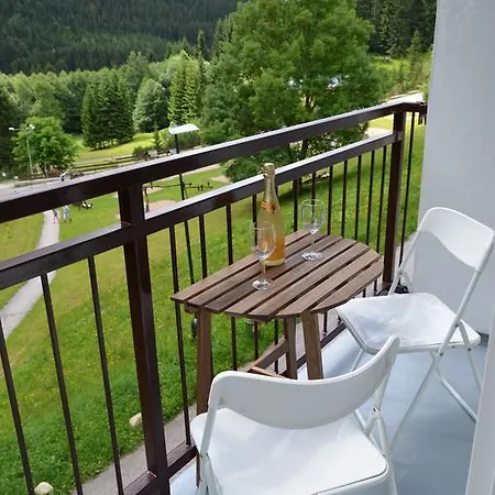 Family Apartament Szpindlerowy Młyn